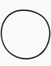 Black circular rubber O-ring against a white background.