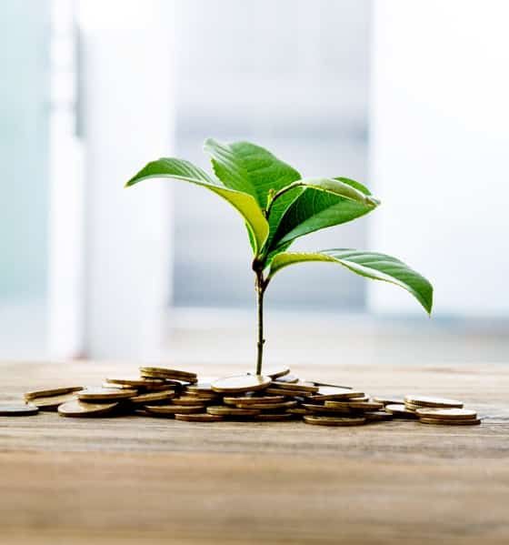 A Small Plant Is Growing out Of a Pile of Coins on A Wooden Table — Sunshine Coast Financial Advisers in Maroochydore, QLD