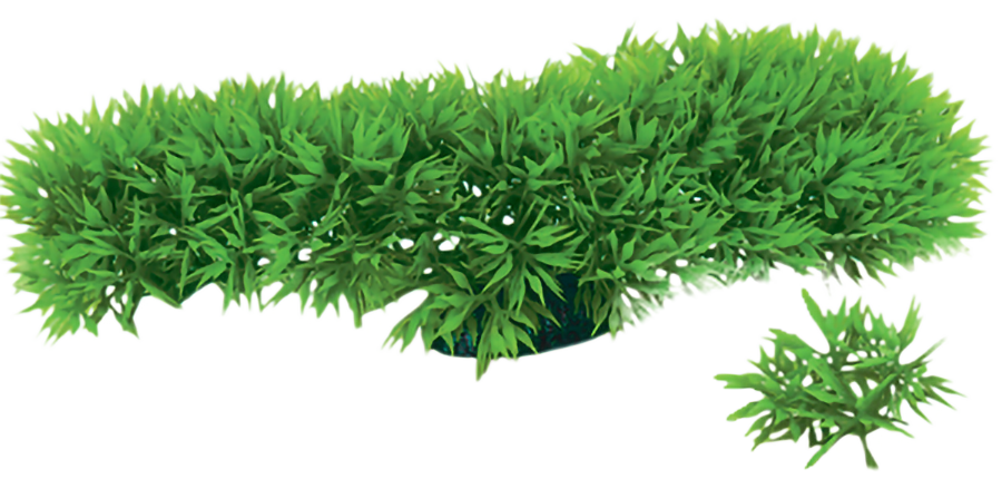 Artificial green aquarium plant. A large bush shape and a small bunch on white.
