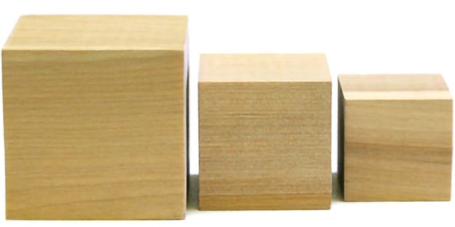 Bio-Serv Certified Wood Gnawing Blocks