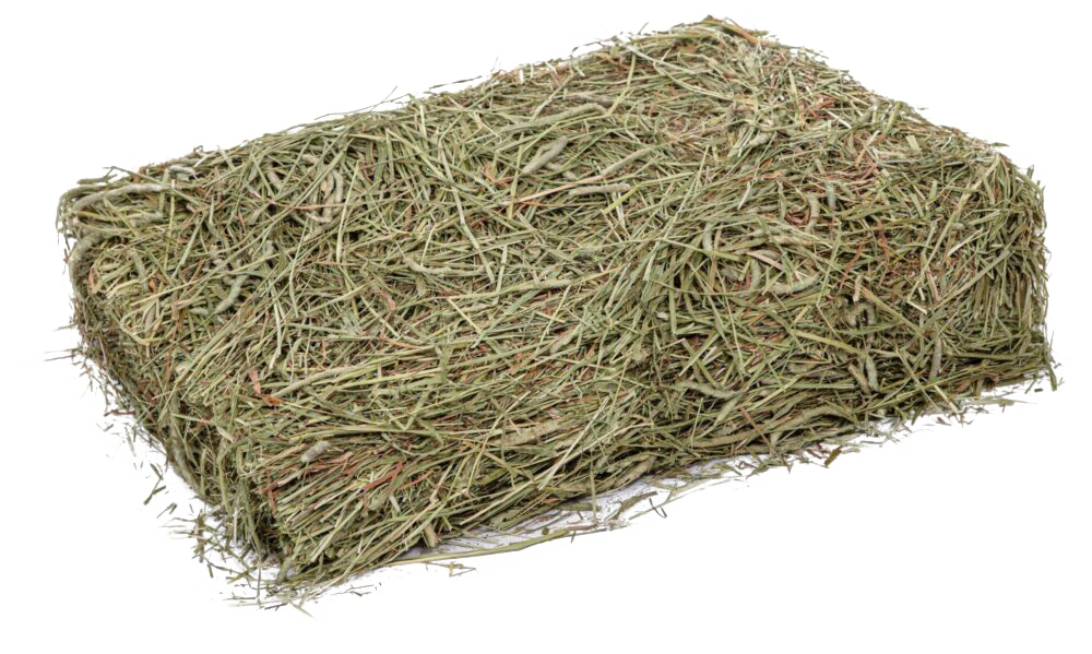 Rectangular bale of Timothy Hay.
