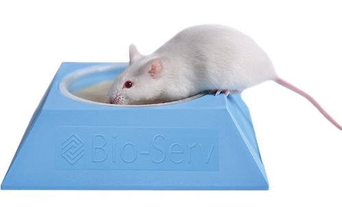 White mouse climbing on blue Mouse Pyramid from Bio-Serv