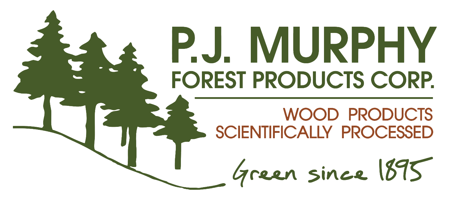 PJ Murphy logo