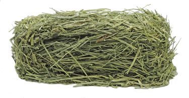 Bio-Serv Certified Timothy Hay