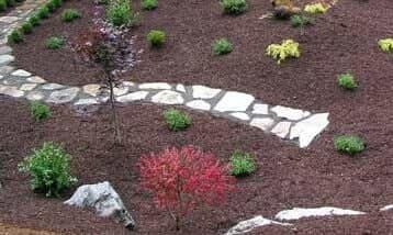 There is a stone walkway in the middle of the garden.