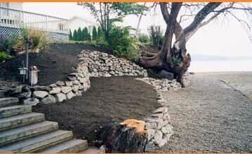 A stone walkway leading to a beach with a tree in the background.