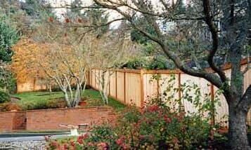 A wooden fence surrounds a lush green yard with trees and bushes.