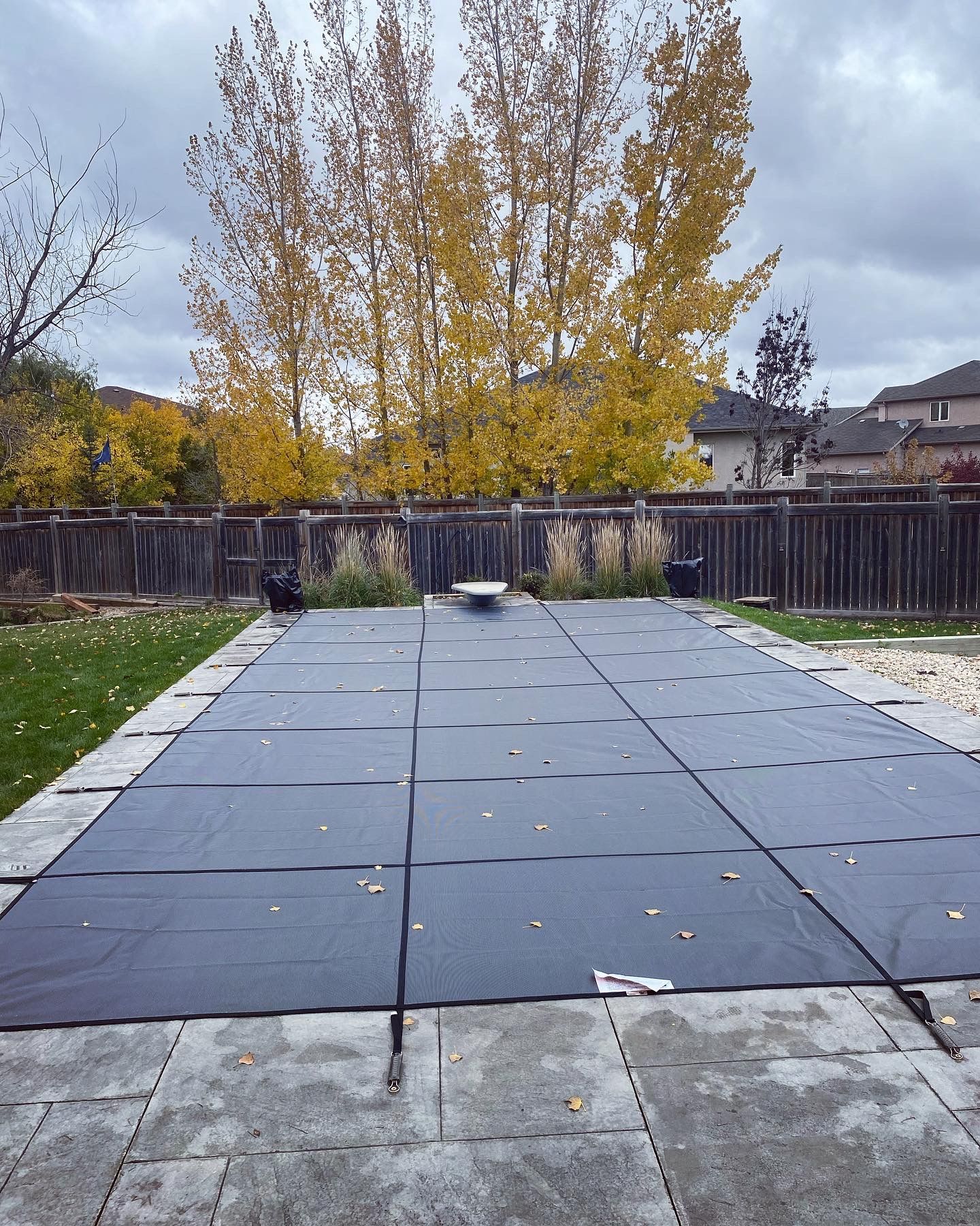 A rectangular swimming pool covered with a black safety cover on a patio, surrounded by a lawn and fall-colored trees.