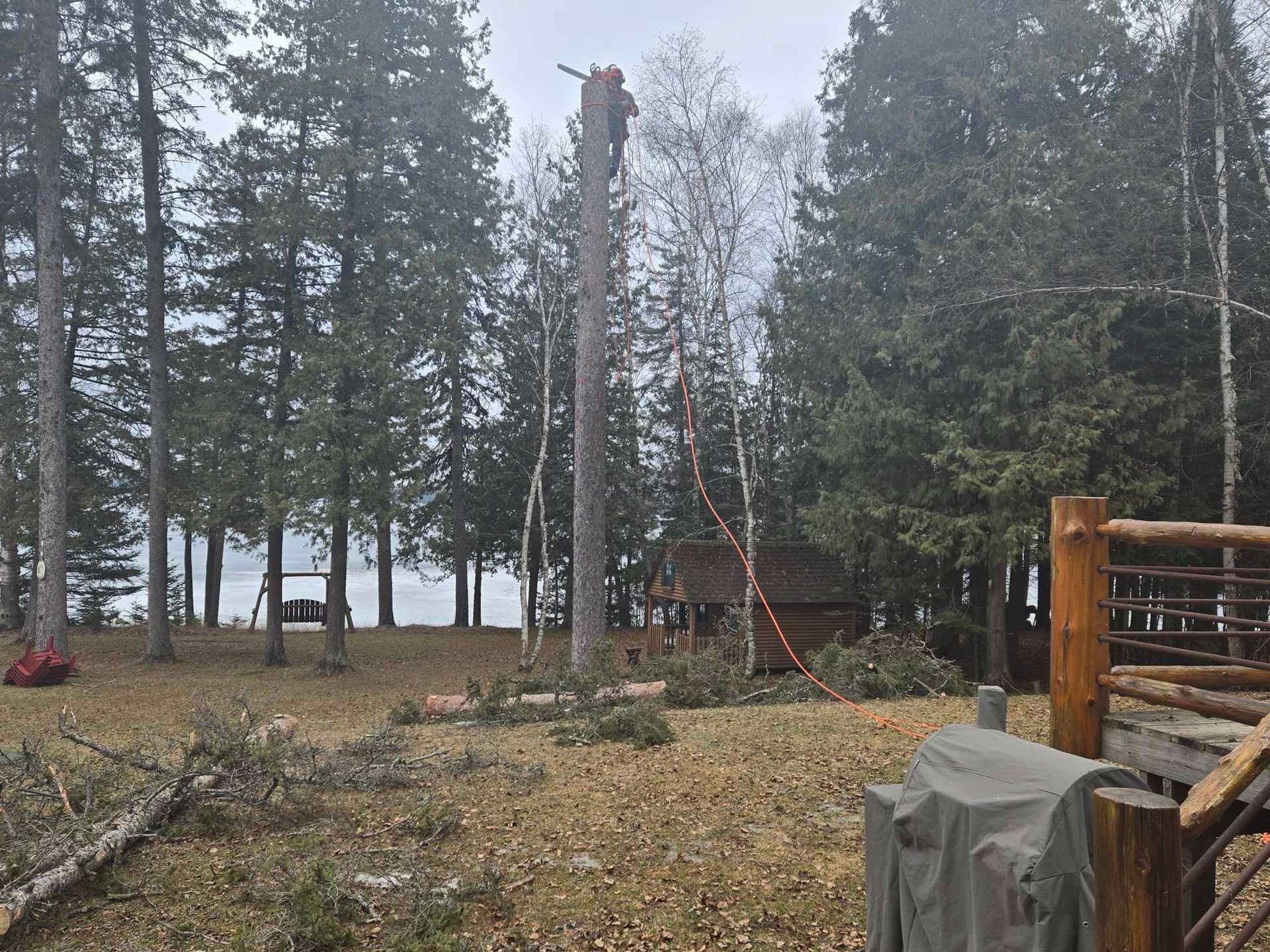 a man is cutting a tree with a chainsaw