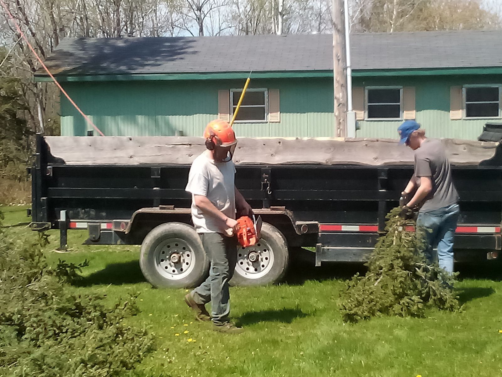 a man is cutting a tree with a chainsaw