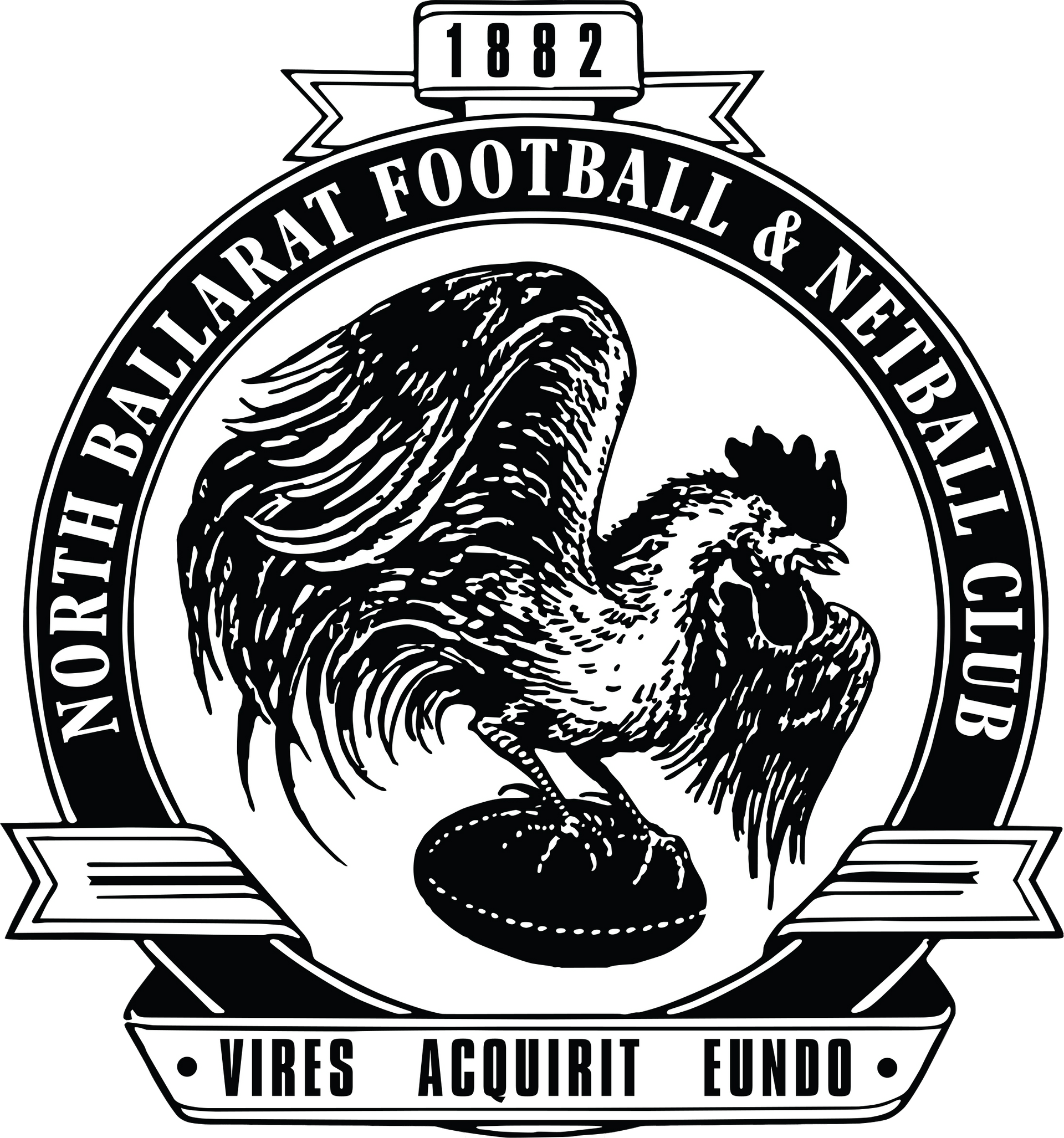North Ballarat Football & Netball Club