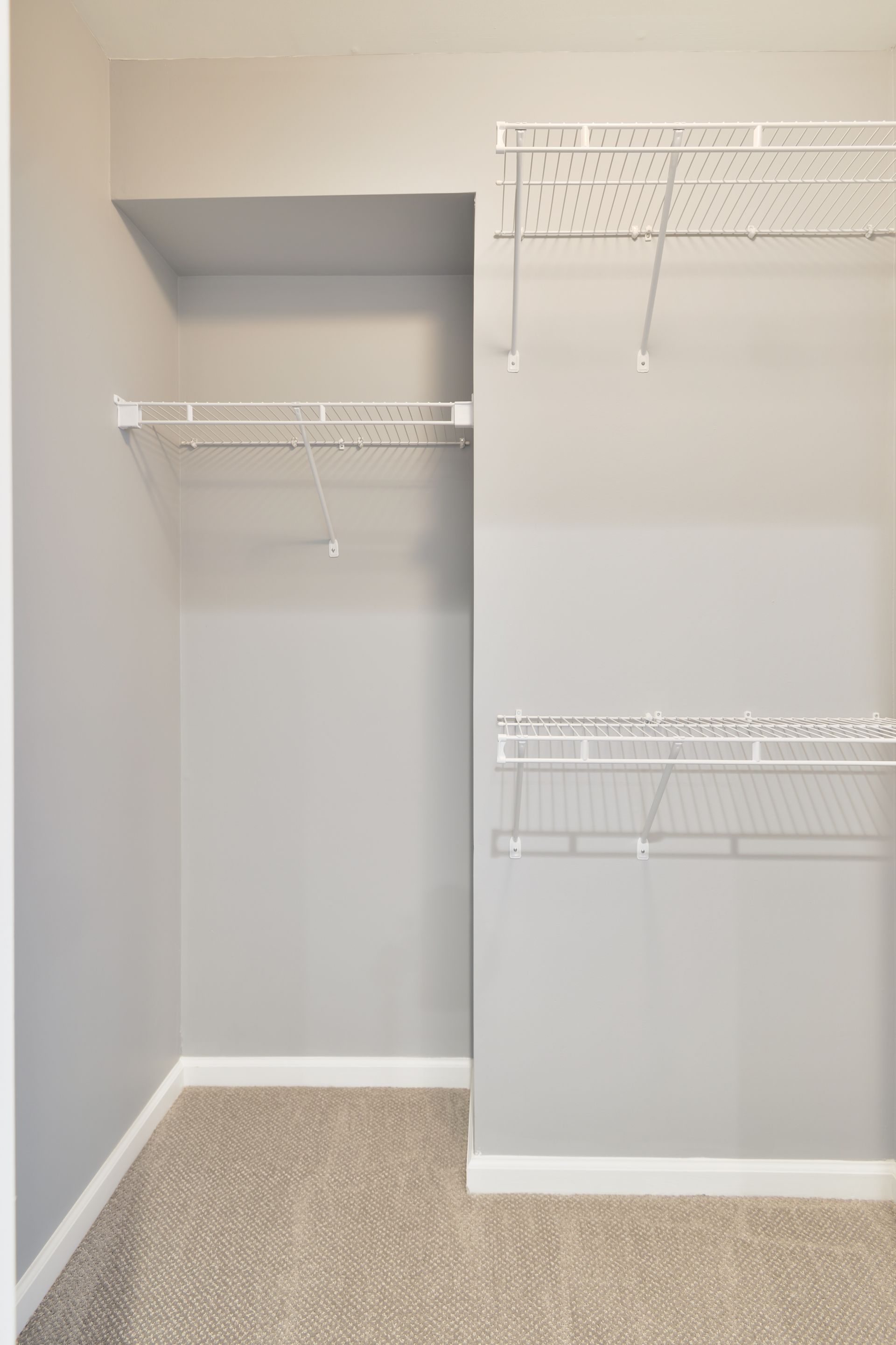 A walk-in closet with beige carpet, light gray walls, and white wire shelving on two walls.