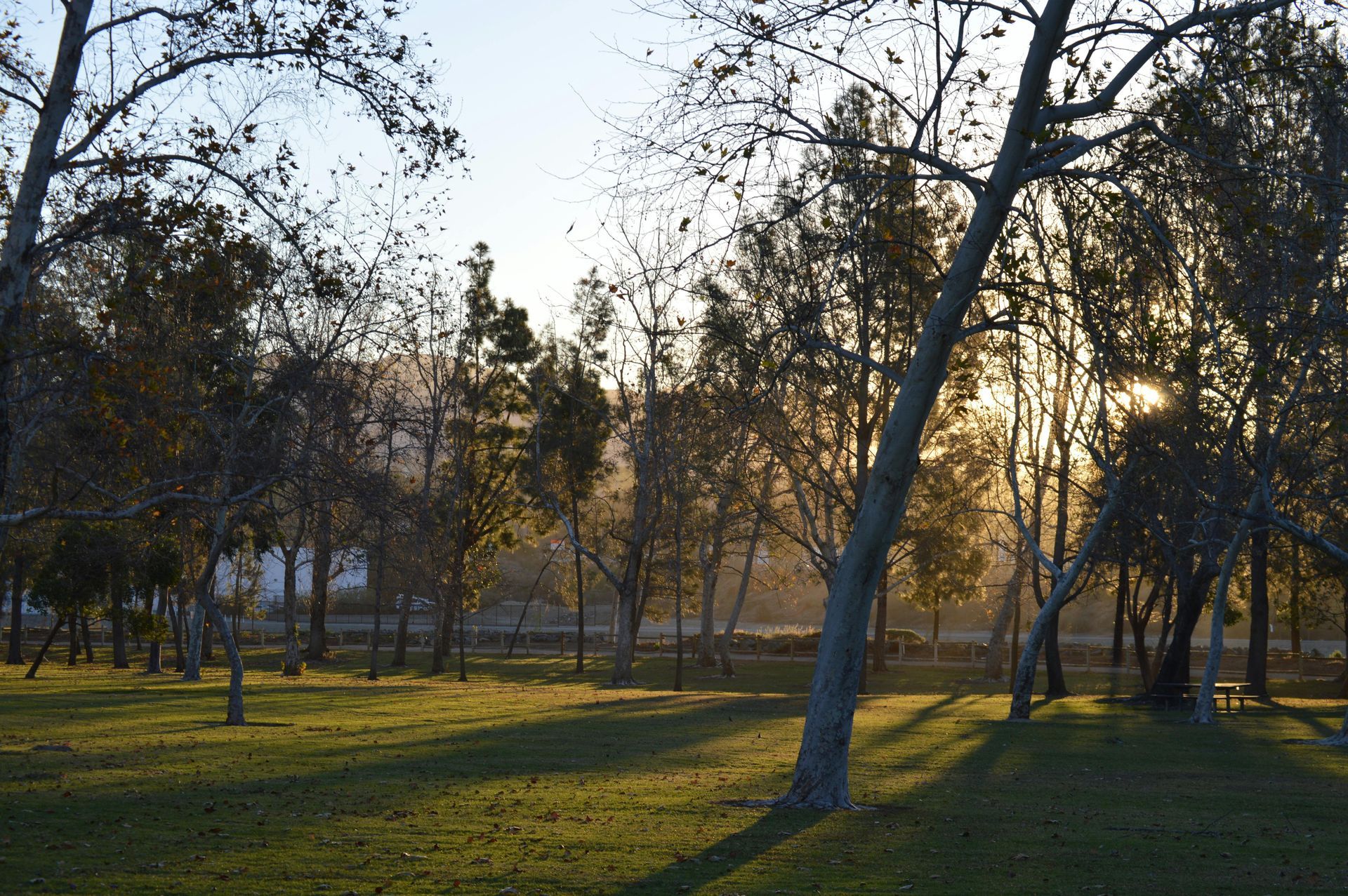 CURTIS PARK