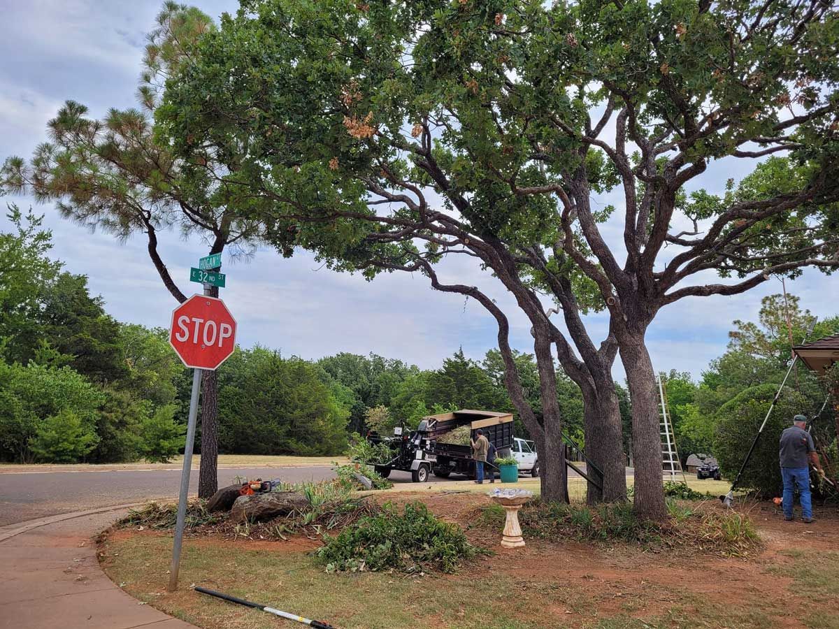 Tree trimming in progress; a truck with workers, branches, and a stop sign on a residential street.