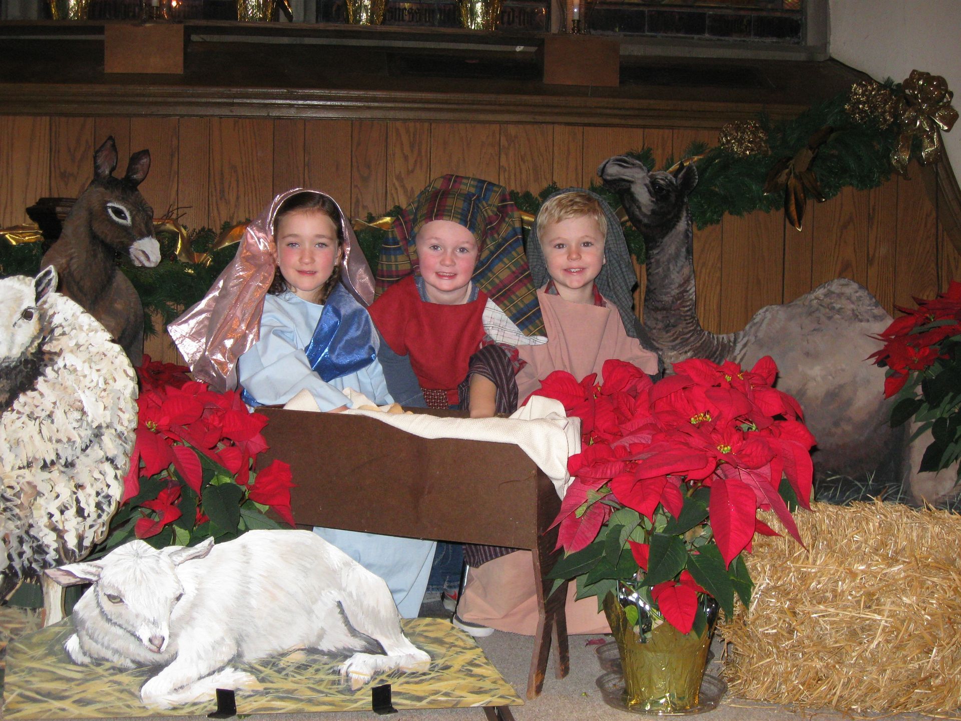 Three children pose with stuffed reindeer, red poinsettias, and a white cat in a festive holiday display