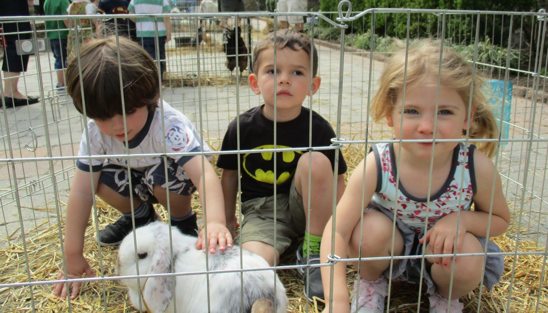 Three children crouch behind a wire fence petting a small white bunny.