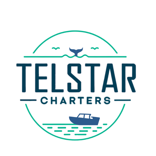 A logo for telstar charters with a whale tail and a boat in the water.