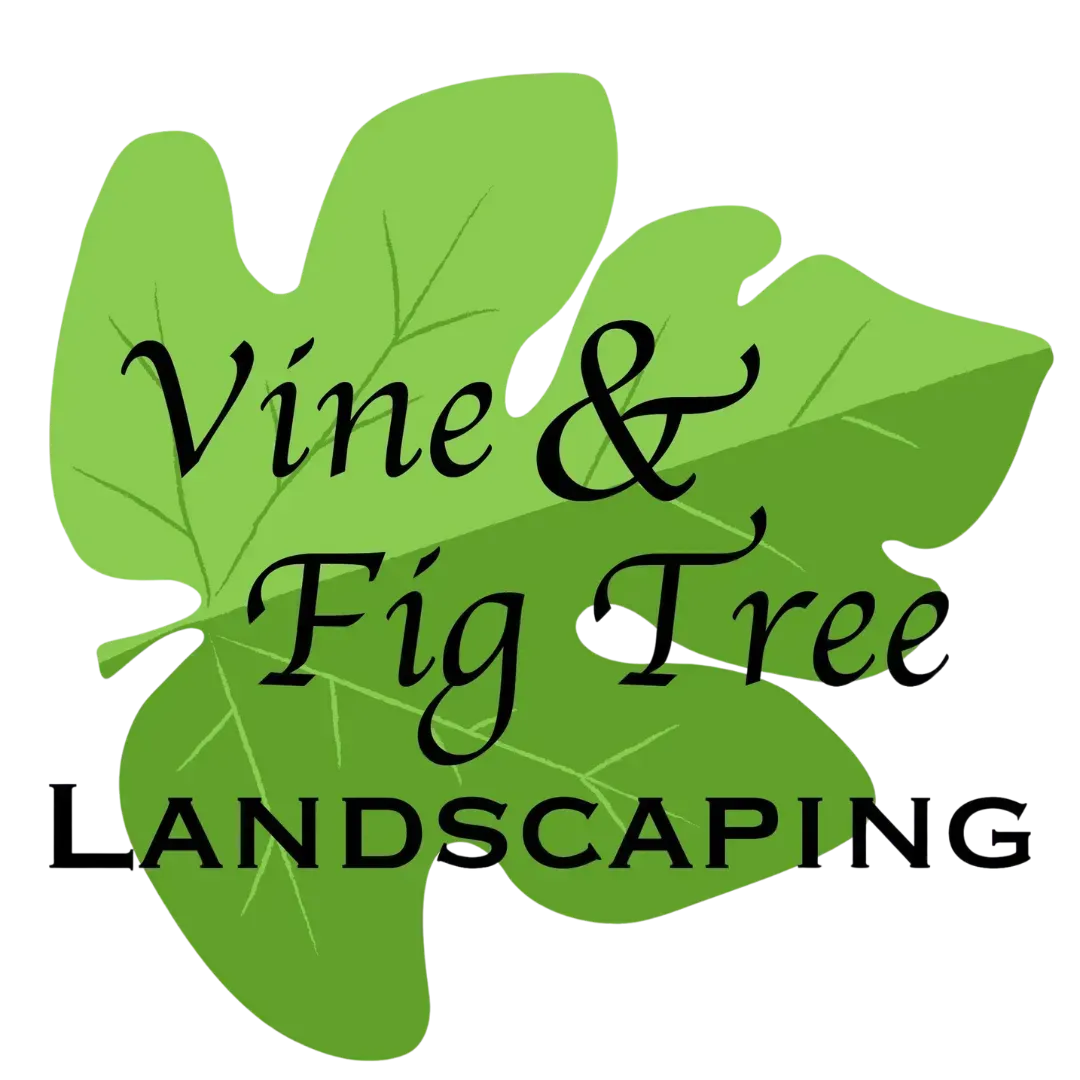 Vine & Fig Tree Landscaping