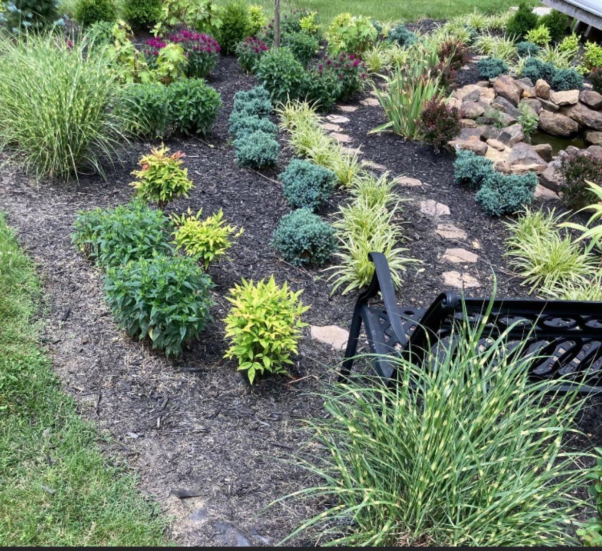 Landscaped garden with various plants, mulch, stepping stones, and a bench.