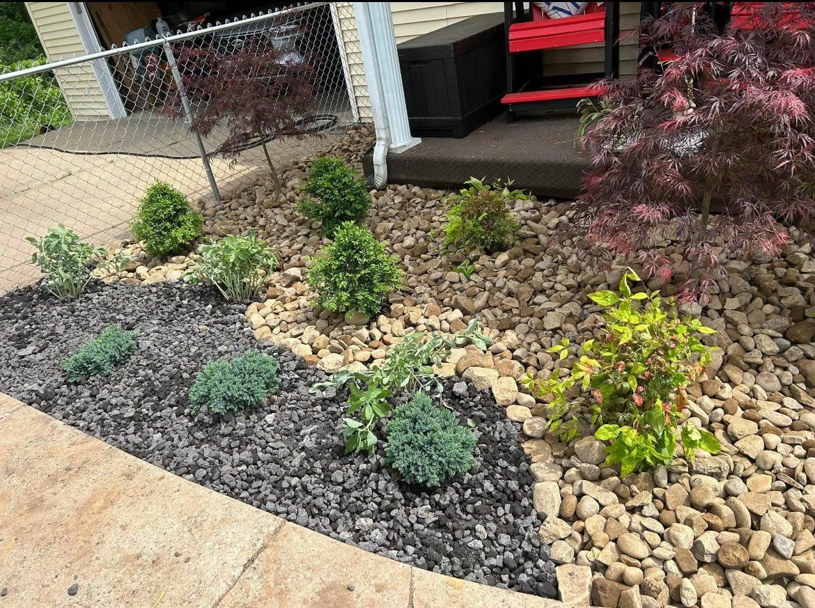 A landscaped garden bed with dark mulch and rocks, containing shrubs and small trees.