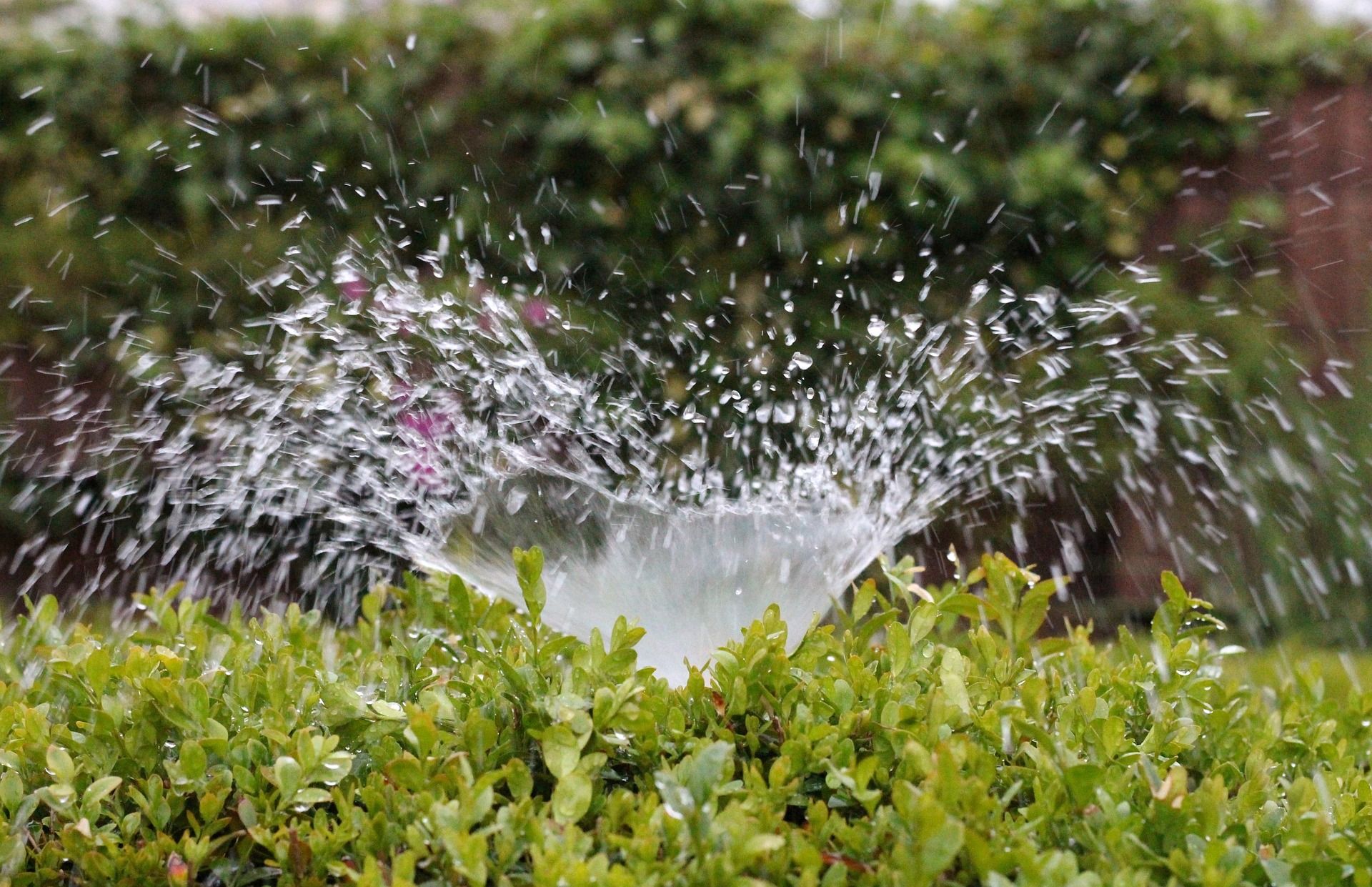 Drought-friendly xeriscaping transformation in Salt Lake City reducing water use and maintenance.