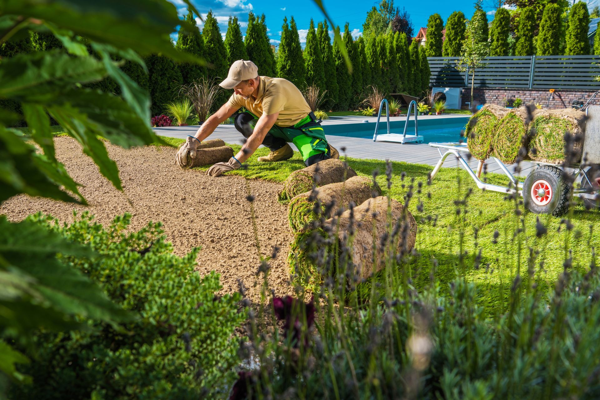Man laying sod in a backyard near a pool, with a wheelbarrow of sod nearby.