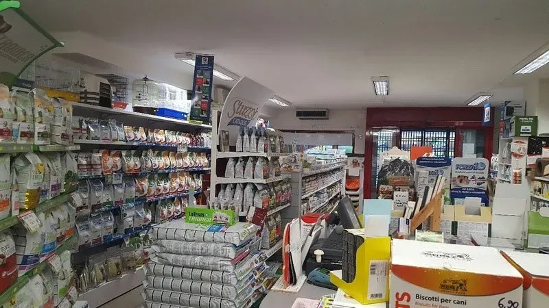 articoli negozio