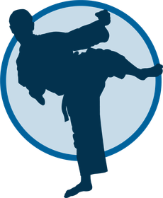 Taekwondo Icon