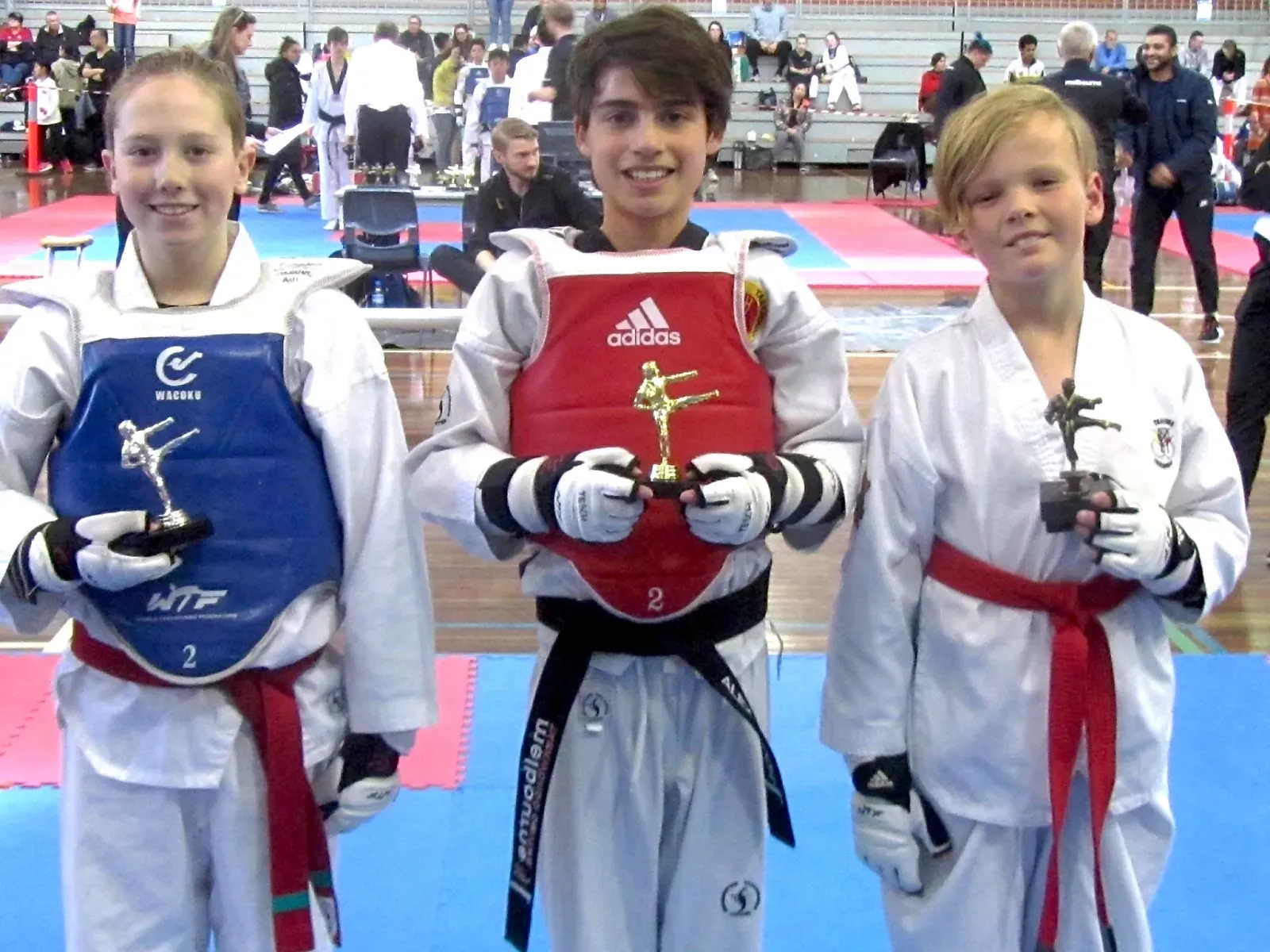 Taekwondo Medals