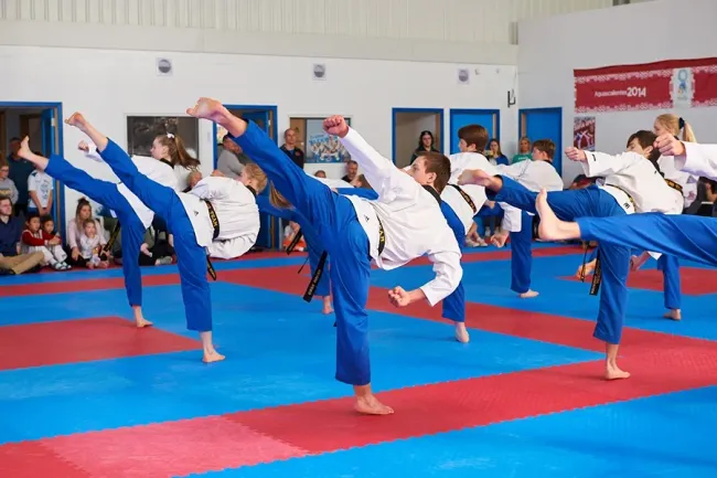 Taekwondo Class