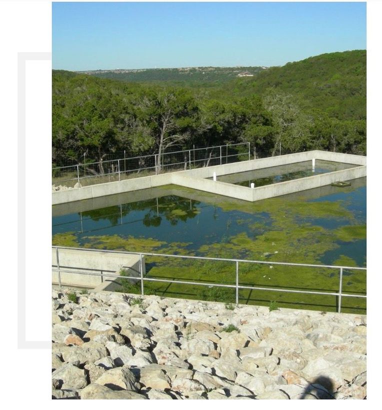 bioswale installation austin tx
