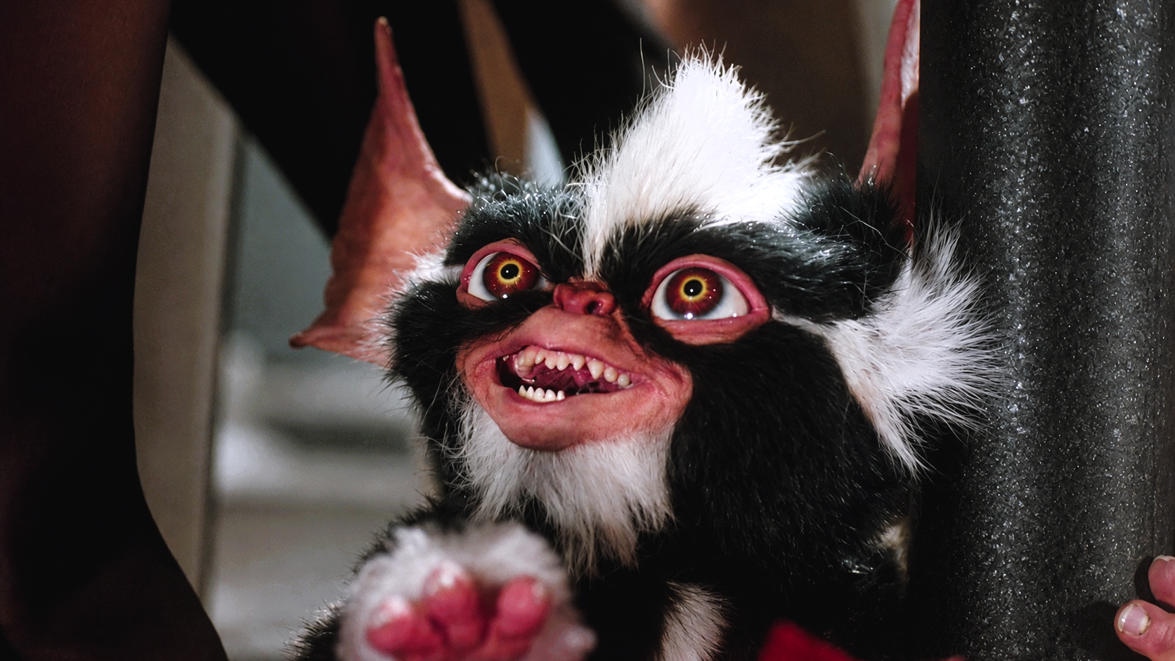 Gizmo from Gremlins, the Mogwai whose three famous rules became one of cinema's most memorable pieces of movie lore.