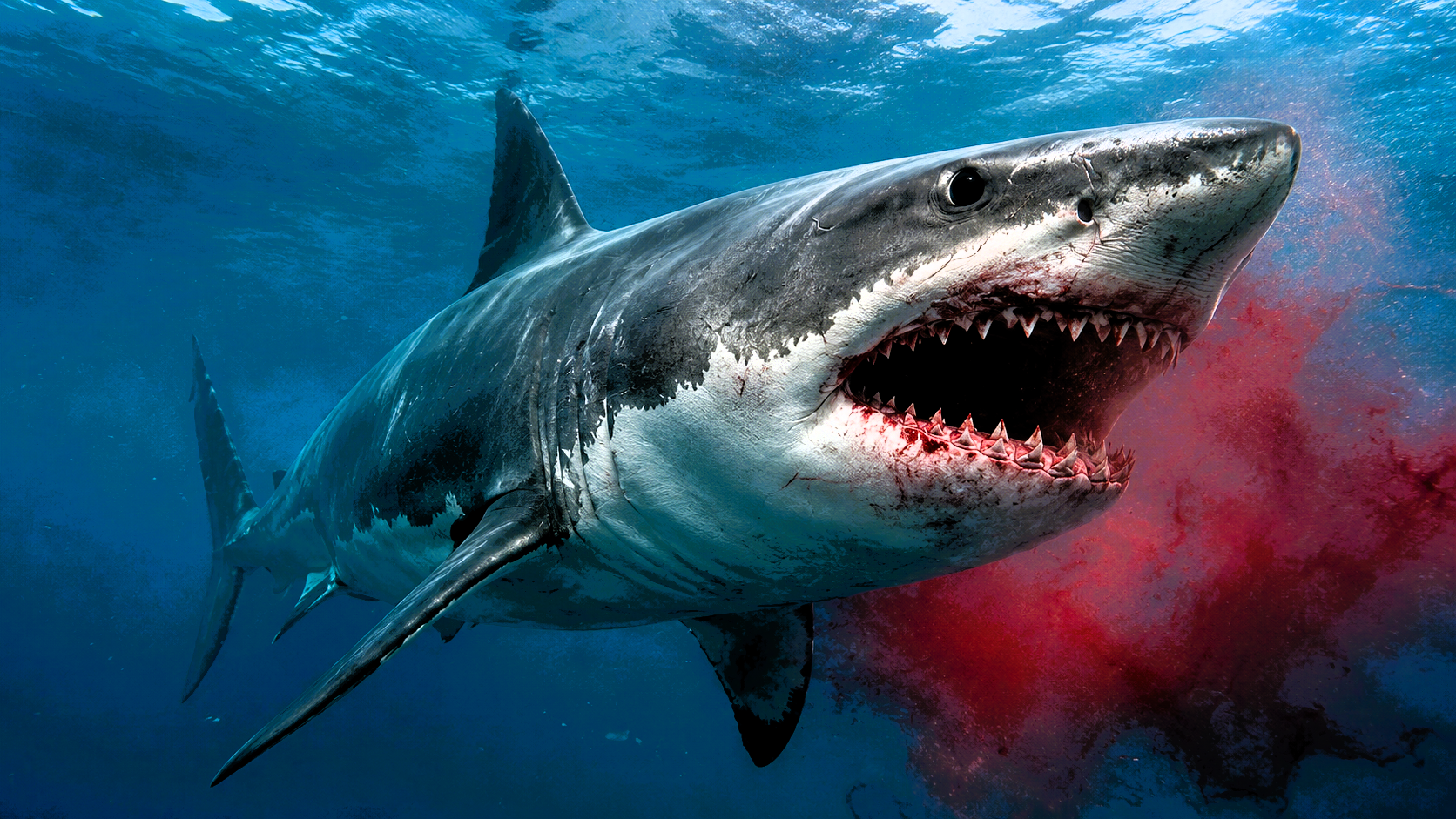 Great white shark representing the creature-feature elements explored in Keanu Reeves' upcoming thriller Shiver.