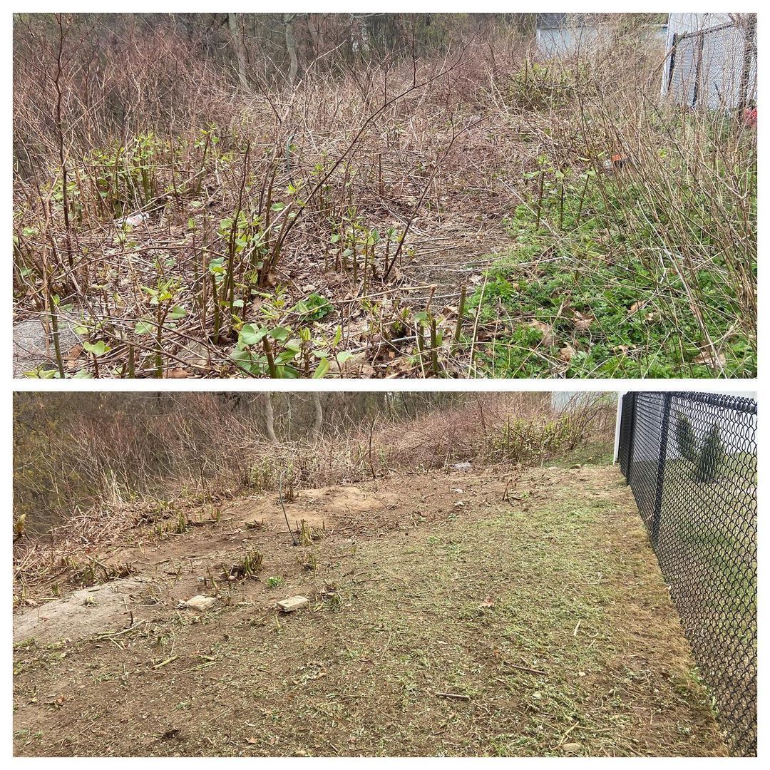 Clean out grass