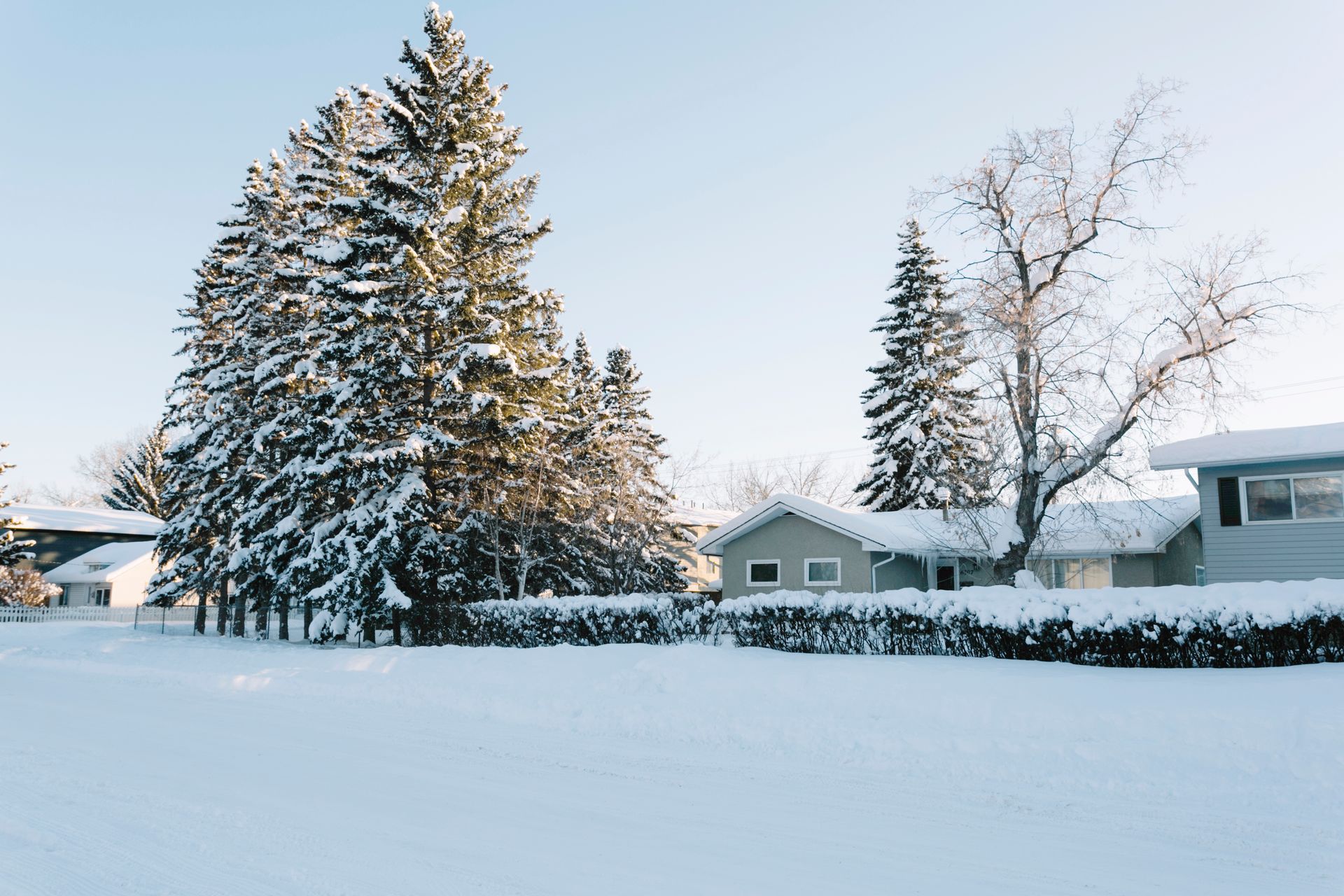 Winter season