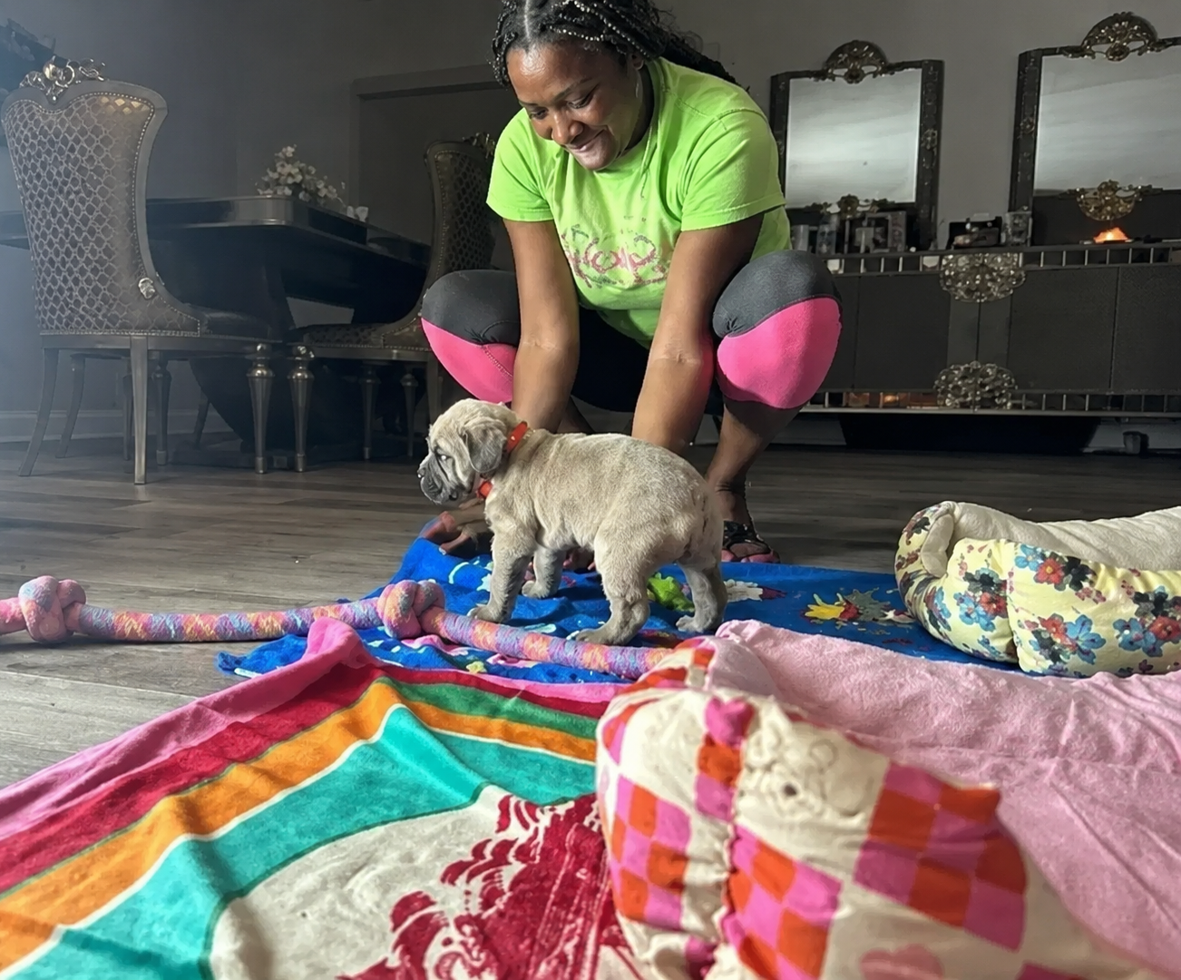 Person kneeling to pet a small dog on a colorful blanket in a living room