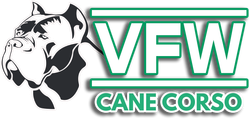 VFW Cane Corso Logo