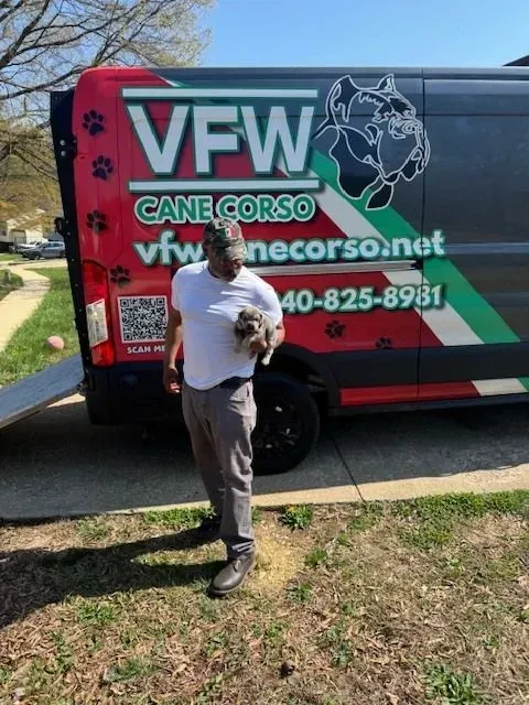 Man standing in front of a red VFW Cane Corso dog kennel trailer on a sunny sidewalk.