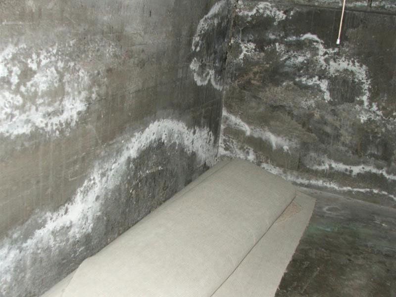 Discoloration on the walls called efflorescence caused by water moisture and mildew in basement