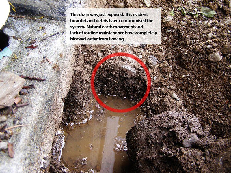 Clogged perimeter drain system
