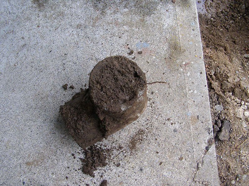 Muck and mud that we removed from a drain pipe after cleaning