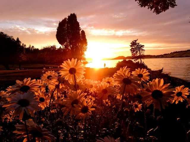 cremation services in Albuquerque, NM