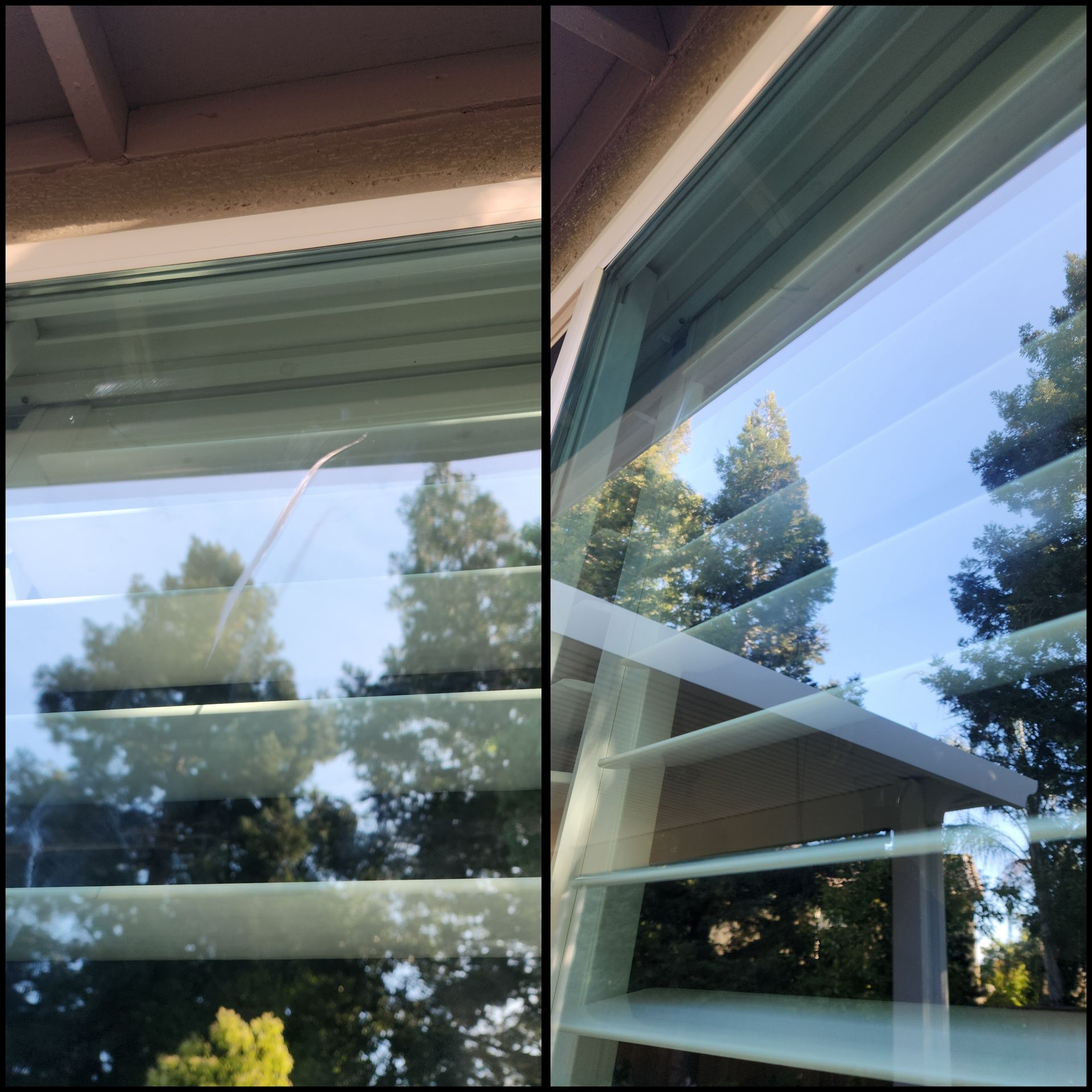 Window blinds reflecting trees and blue sky outside a house.