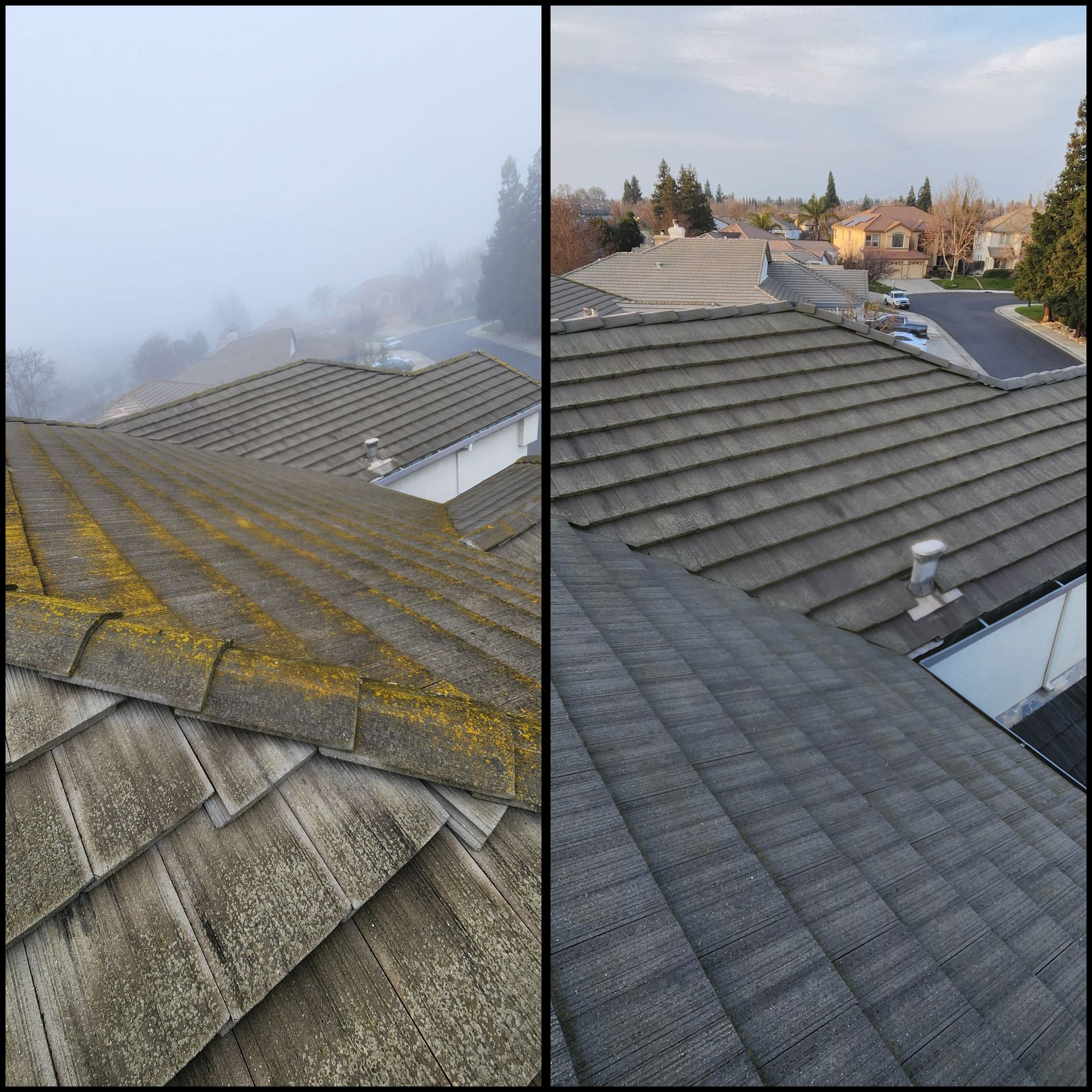 Split view of a roof before and after cleaning, with moss on the left and a clear roof on the right.