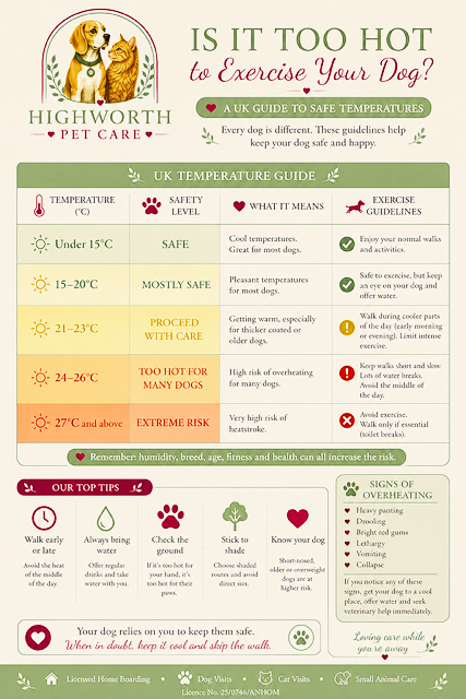 Infogramme about whether it is too hot for dogs with a UK temperature Guide