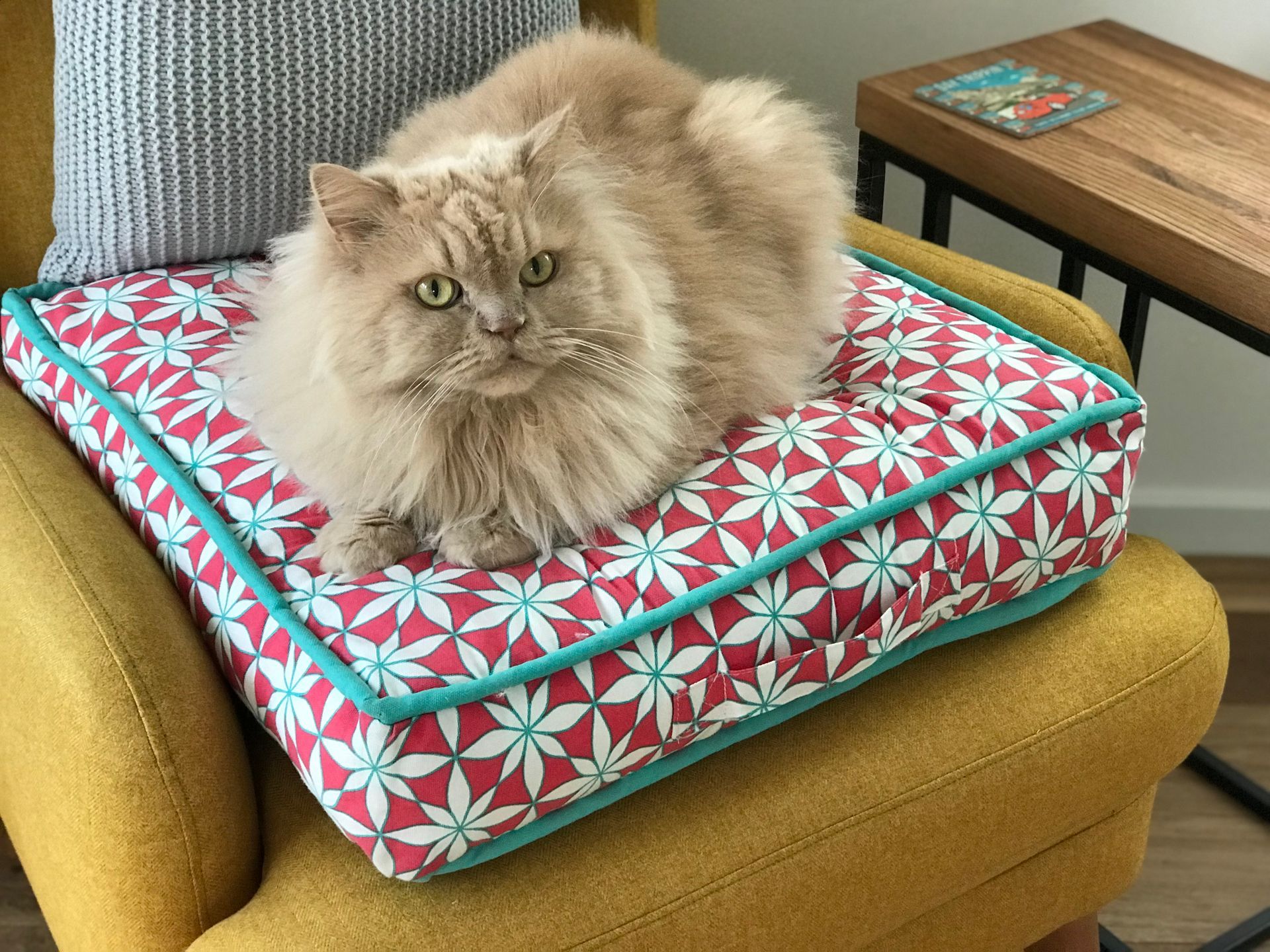 Fluffy tan cat resting on a colorful patterned cushion atop a mustard-yellow chair