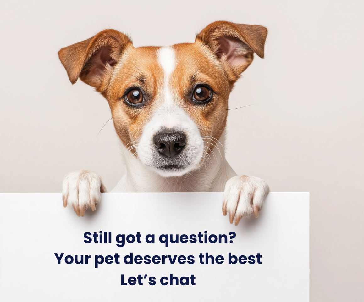 Brown-and-white dog peeks over a sign: “Still got a question? Your pet deserves the best. Let’s chat”