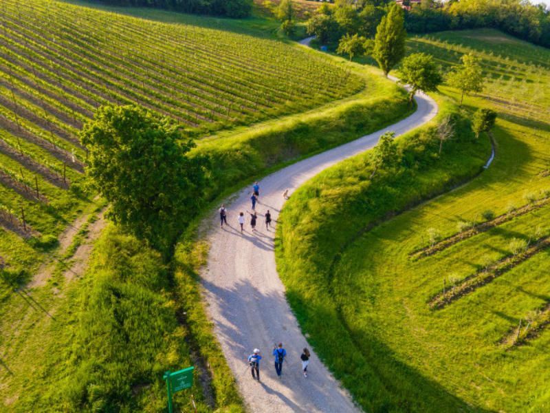 Chianti Quad wine tour with Tuscan lunch from Florence