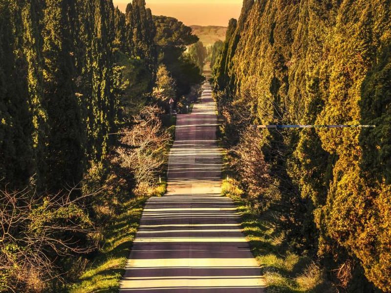 Avventure Bellissime Bolgheri und Super Tuscan Weintour ab Florenz