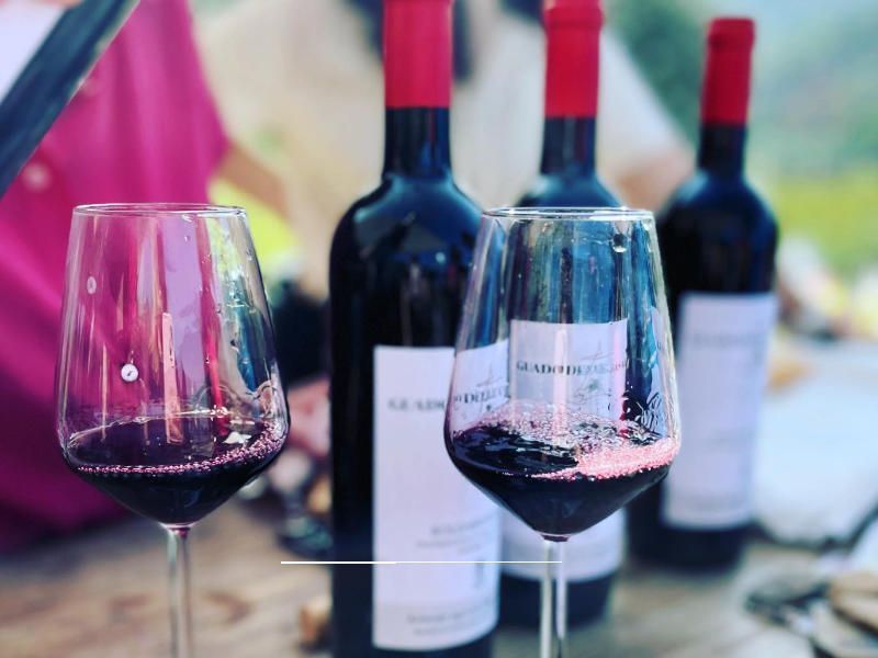 Superior Bolgheri Weintour mit Mittagessen